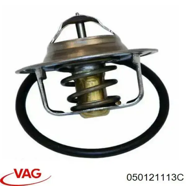 050121113C VAG Termostato de agua