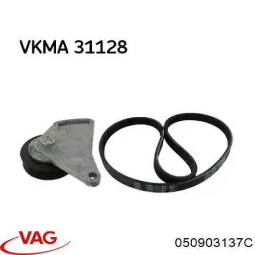 Correa de alternador 050903137C VAG