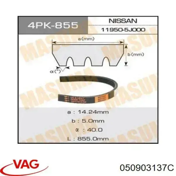 050903137C VAG Correa poly v