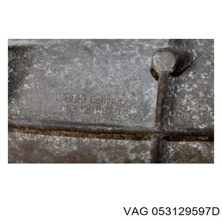 053129597D VAG 