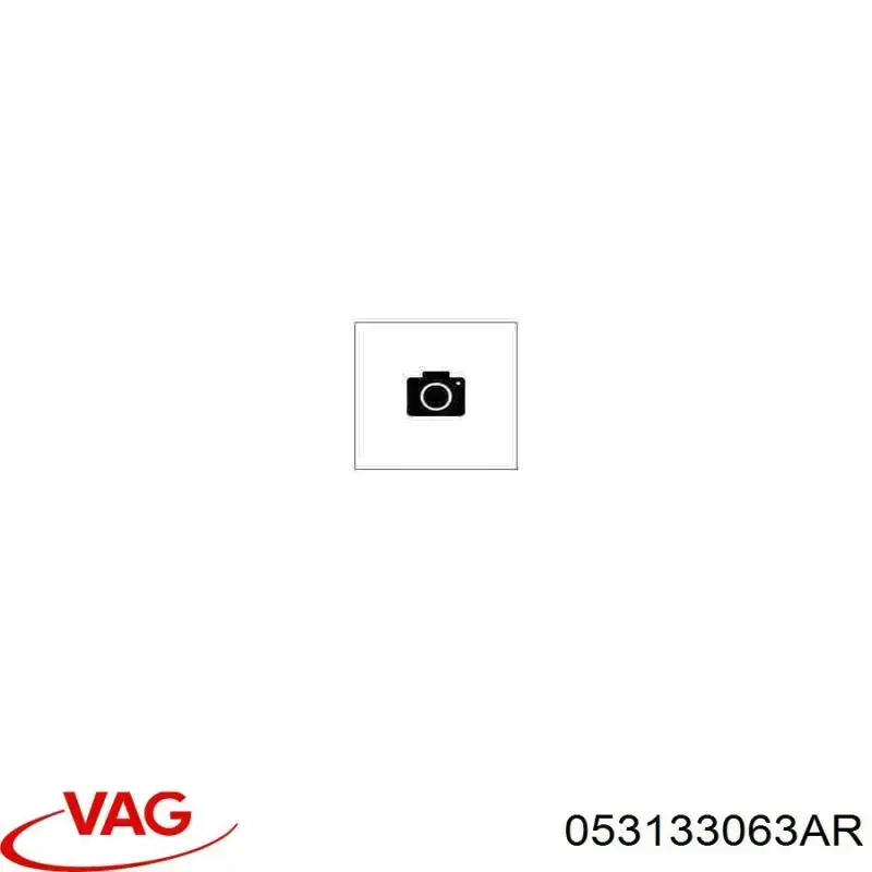 Cuerpo de aceleración completo VAG 053133063AR precio, desde  EUR