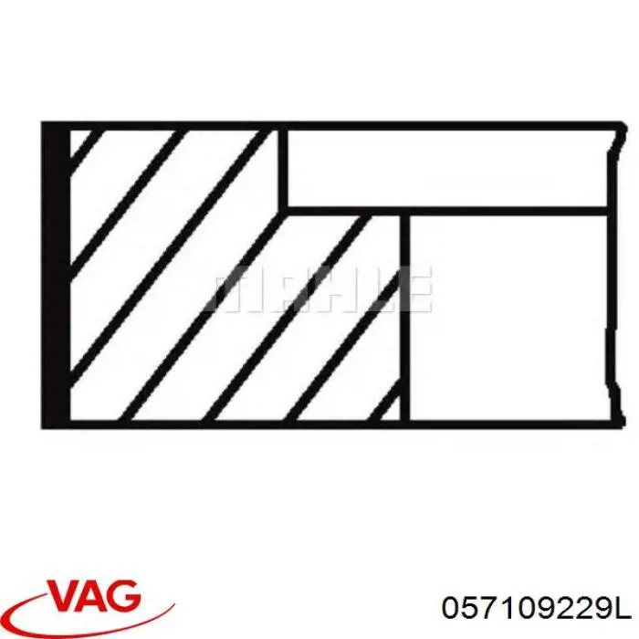 Cadena de distribución izquierda VAG 057109229L precio, desde 50,96 EUR