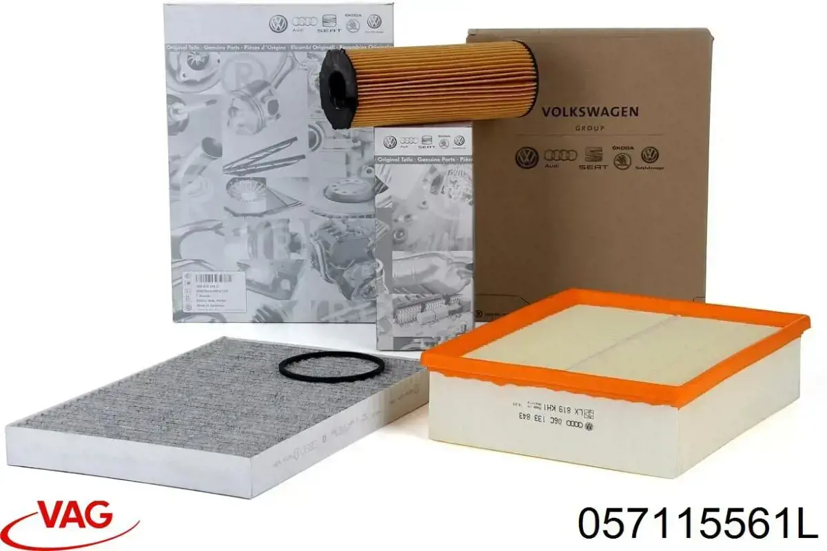 Filtro de aceite motor VAG 057115561L