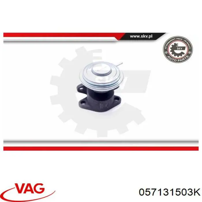 Válvula de regulación de gases Magneti Marelli EV085 precio, desde 38,25 EUR