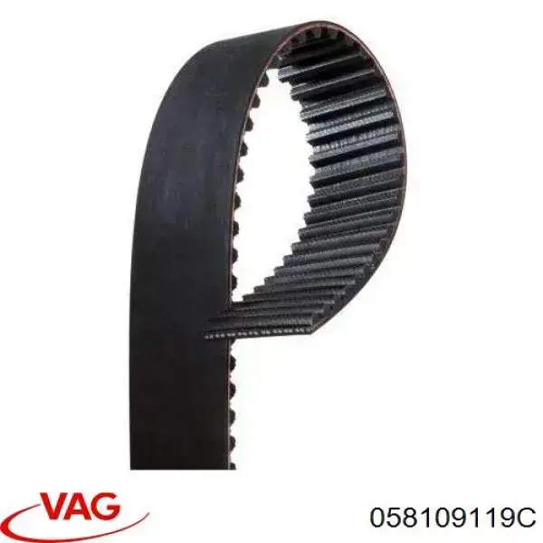 Correa distribución 058109119C VAG