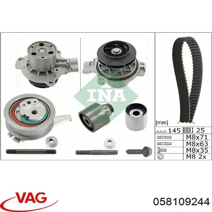 Polea correa distribución VAG 058109244 precio, desde 13,12 EUR
