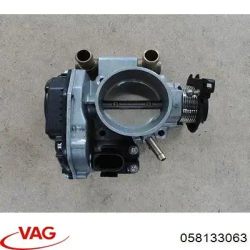 Cuerpo de aceleración completo VAG 058133063 precio, desde 69,70 EUR