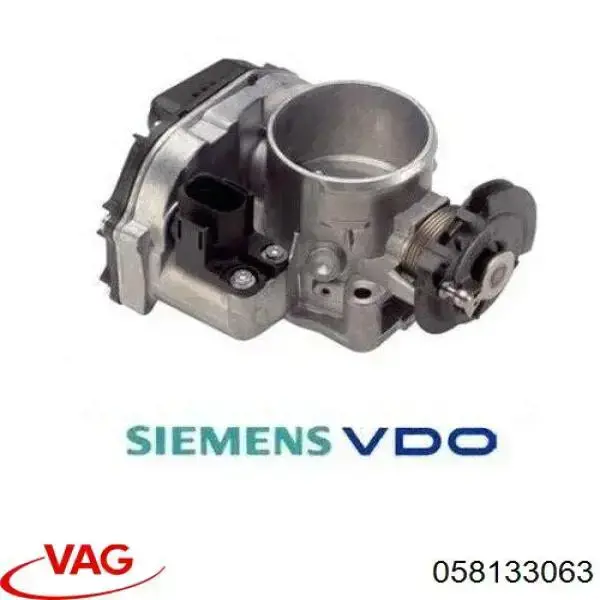 Cuerpo de aceleración completo VAG 058133063 precio, desde 69,70 EUR