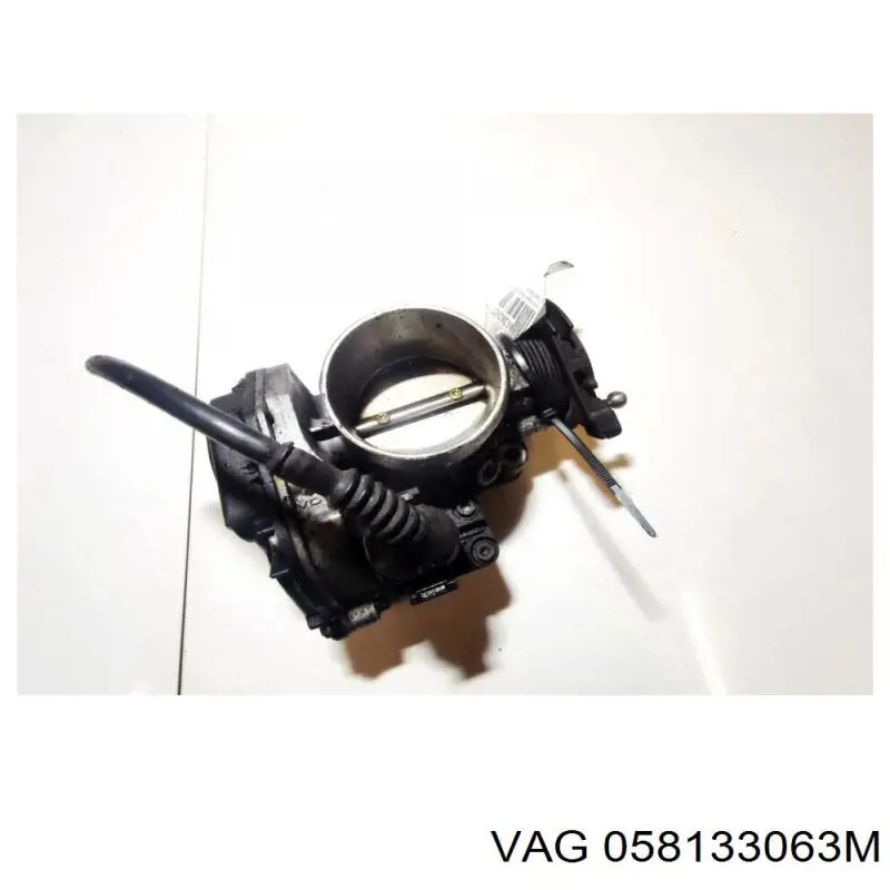 058133063M VAG Mariposa de admisión