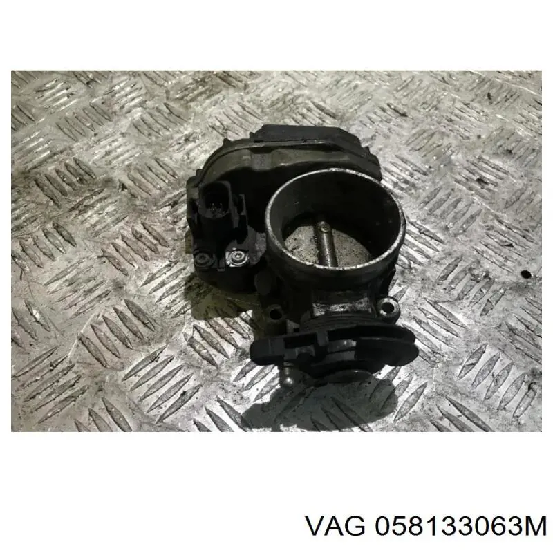 Cuerpo de aceleración completo VAG 058133063M precio, desde 76,96 EUR