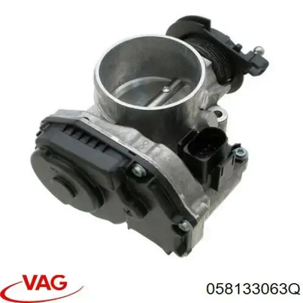 Cuerpo de aceleración completo VAG 058133063Q precio, desde 100,19 EUR