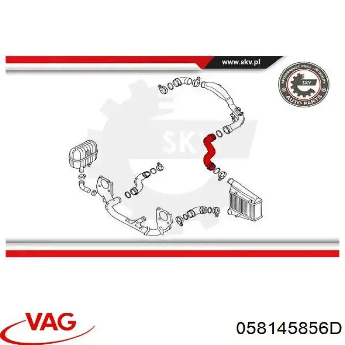 Manguera del intercooler VAG 058145856D precio, desde 32,66 EUR