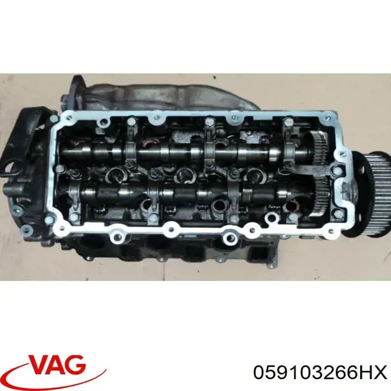 Comprar 059103904KX VAG Culata derecha