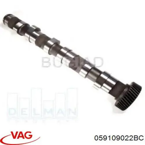 Árbol de levas de escape derecho VAG 059109022BC precio, desde 113,26 EUR