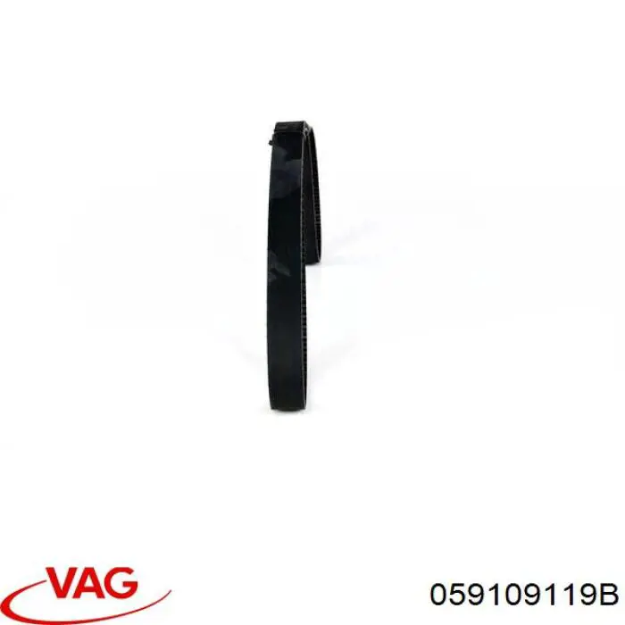 Comprar 059109119B VAG Correa distribución