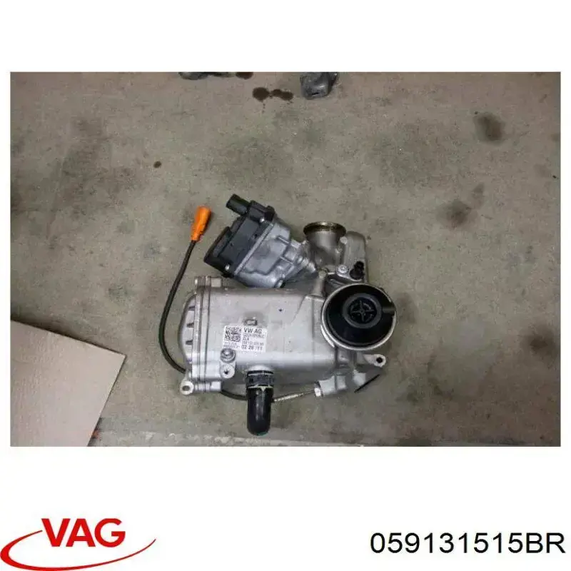 Enfriador de recirculación de gases de escape EGR VAG 059131515FH precio, desde 653,44 EUR