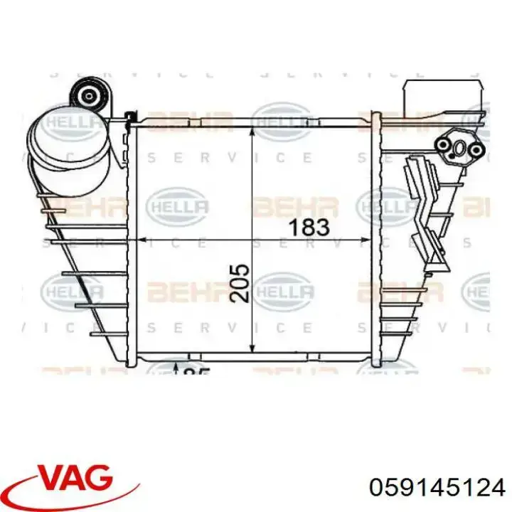 059145124 VAG