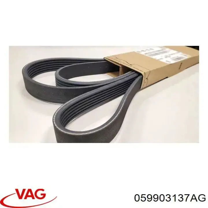 Correa de alternador 059903137AG VAG