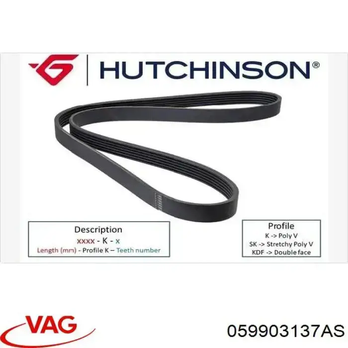 Comprar 059903137AS VAG Correa de transmisión