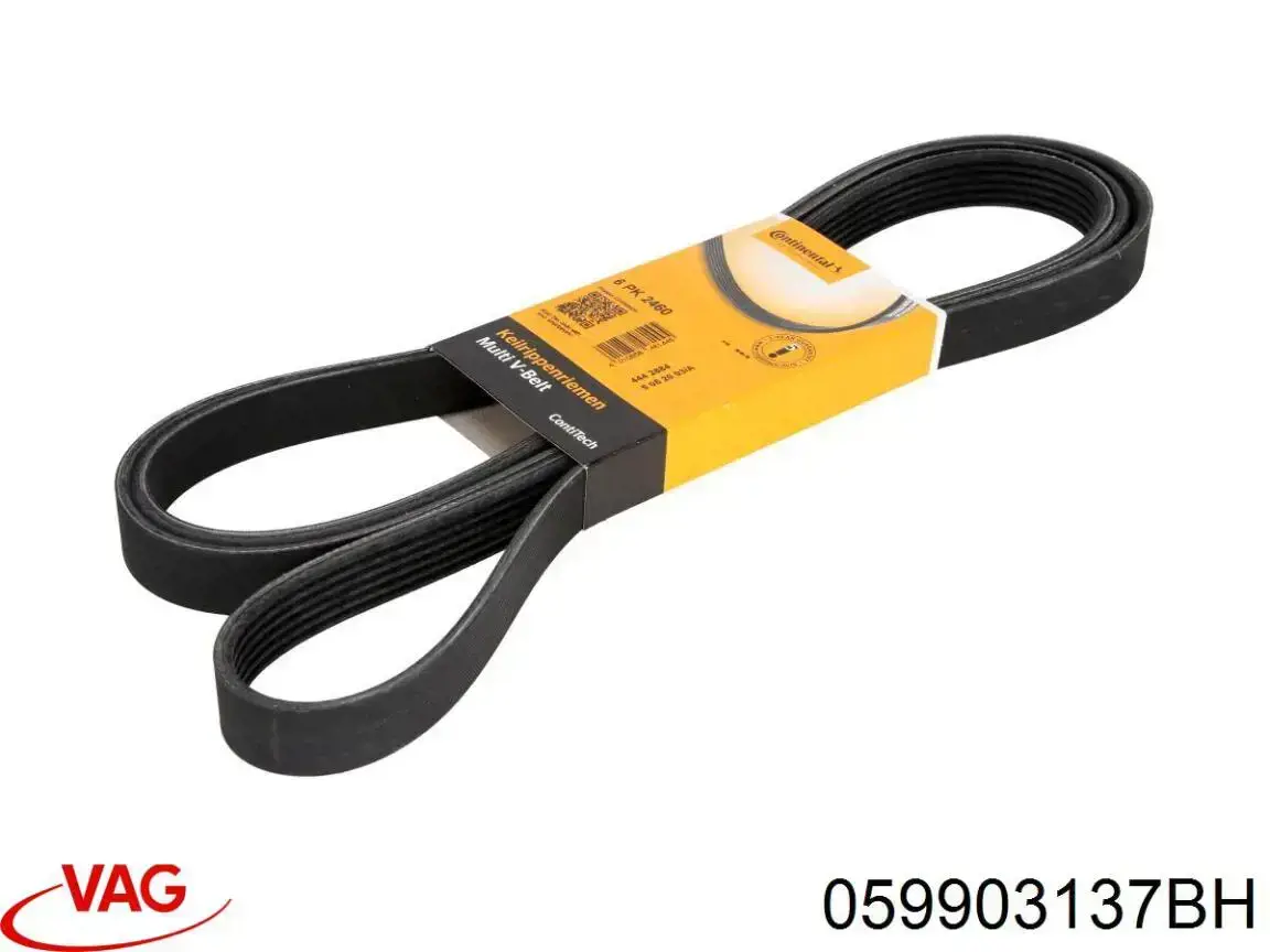 Correa de transmisión, completo VAG 059903137BH precio, desde 60,62 EUR