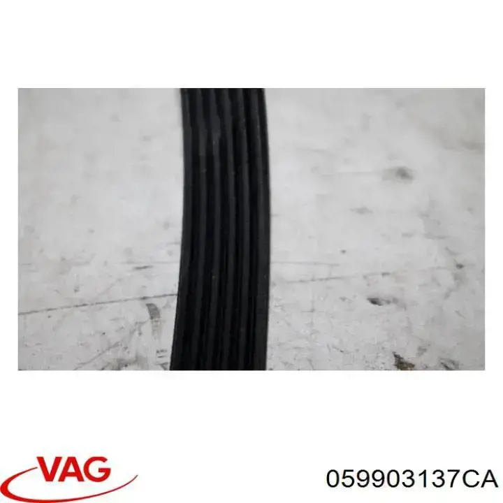 Correa de transmisión trapezoidal VAG 059903137CA precio, desde 25,79 EUR