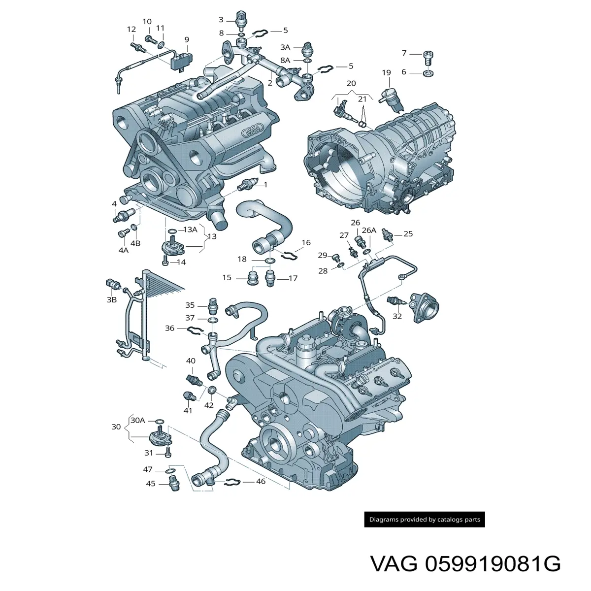 Sensor de aceite VAG 059919081G