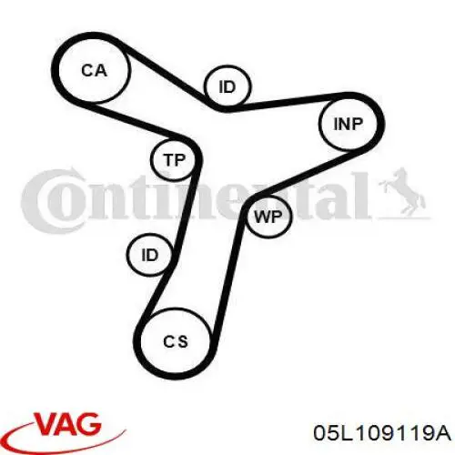 Correa de distribución VAG 05L109119A precio, desde 55,65 EUR