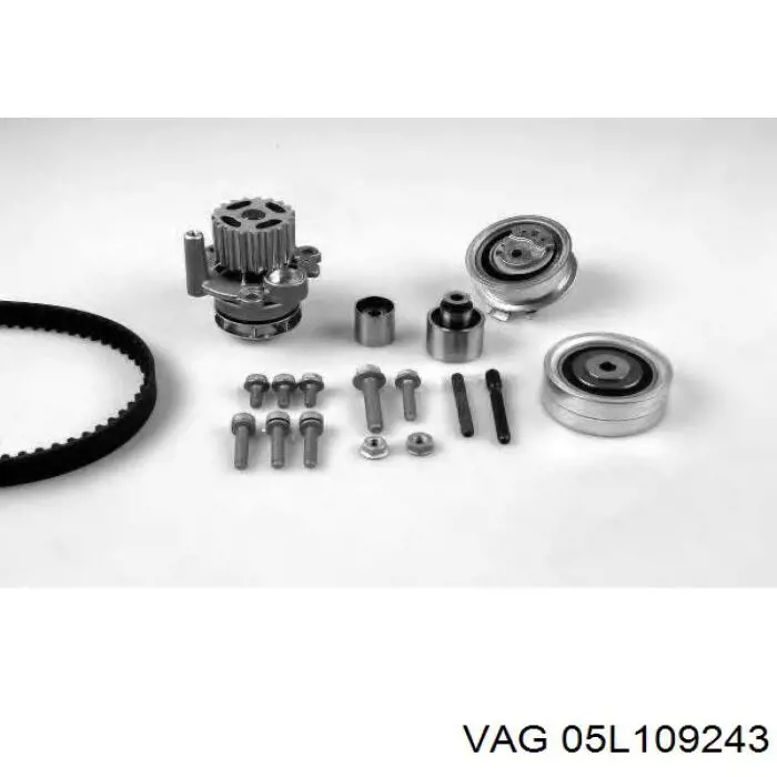  VAG 05L109243 precio, desde 77,21 EUR