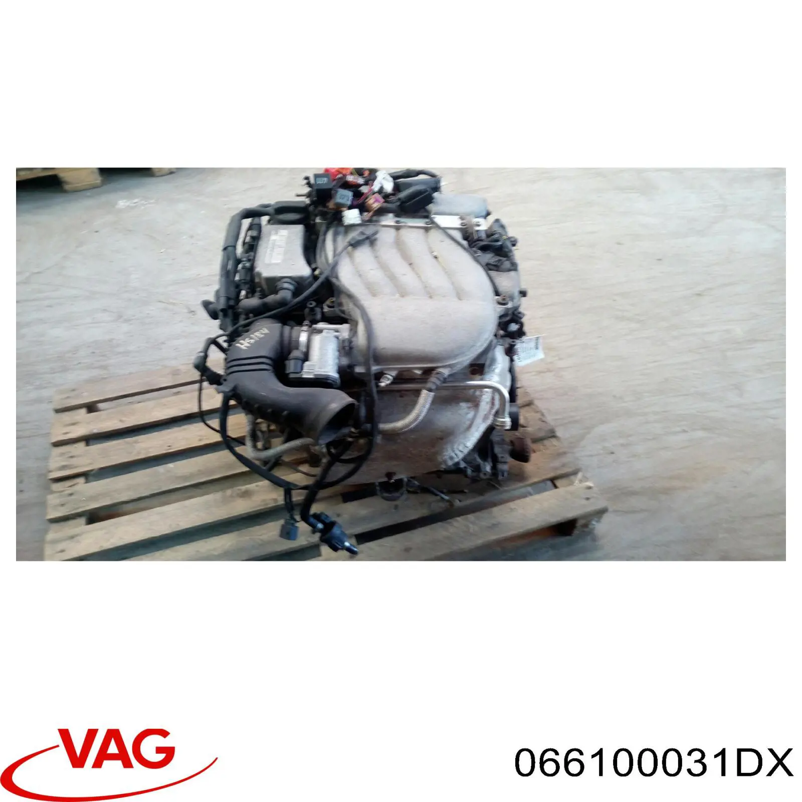 066100031DX VAG motor completo