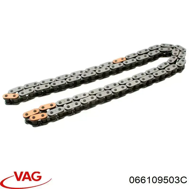 066109503C VAG cadena de distribución superior