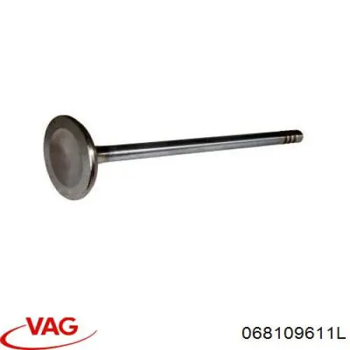 Comprar 068109611L VAG Válvula escape
