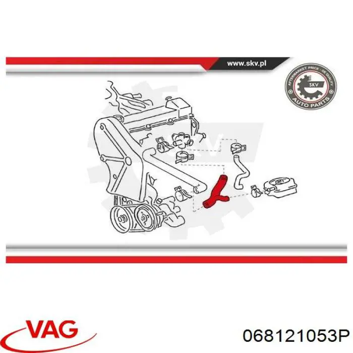 068121053P VAG manguera (conducto del sistema de refrigeración)