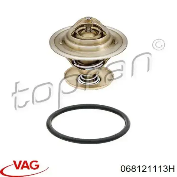 Termostato 068121113H VAG