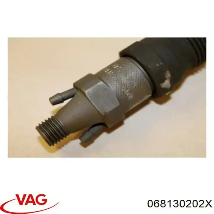 068130202X VAG inyector