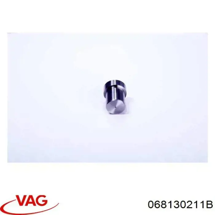 068130211B VAG pulverizador inyector