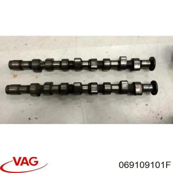 069109101F VAG Kit árbol de levas