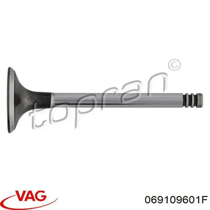 Válvula de admisión VAG 069109601F precio, desde 5,10 EUR