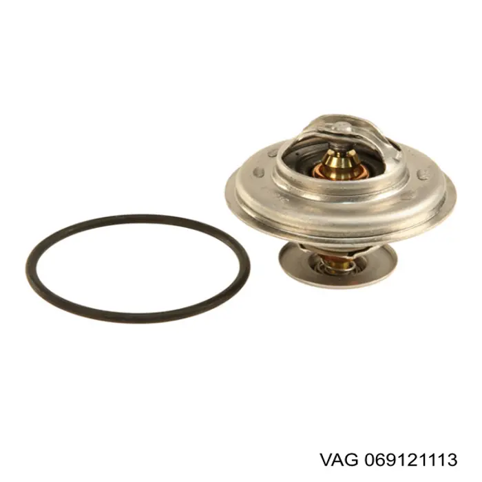 069121113 VAG Termostato de agua