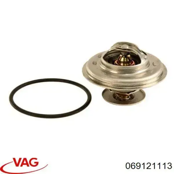 069121113 VAG termostato, refrigerante