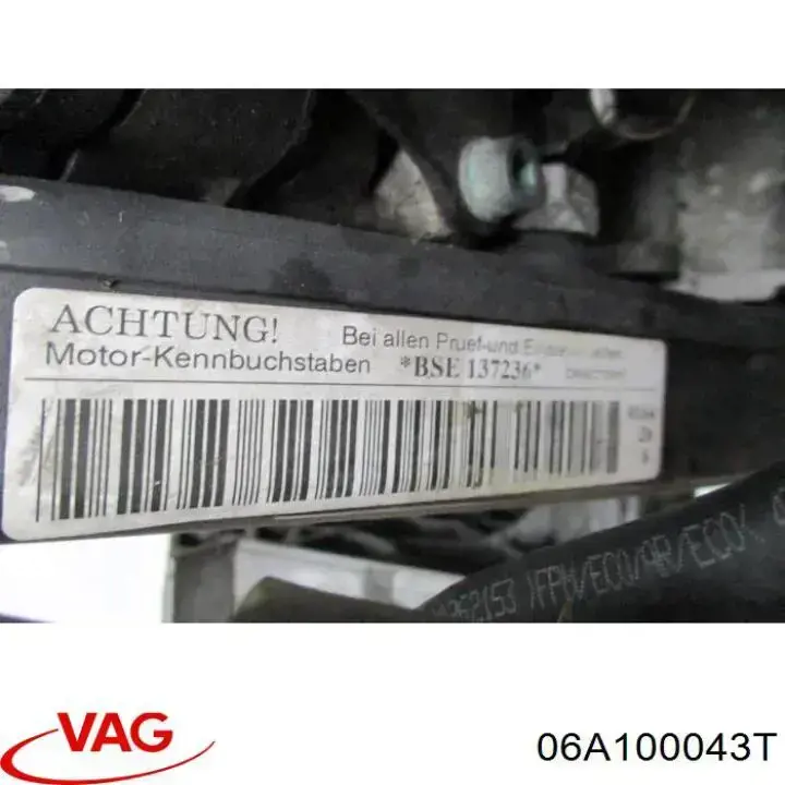 06A100043T VAG Motor completo