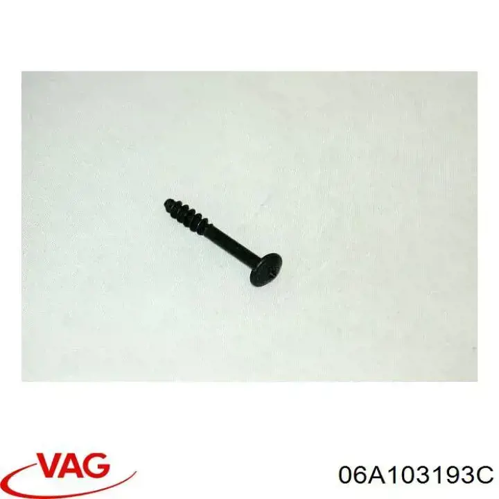 Comprar 06A103193C VAG 