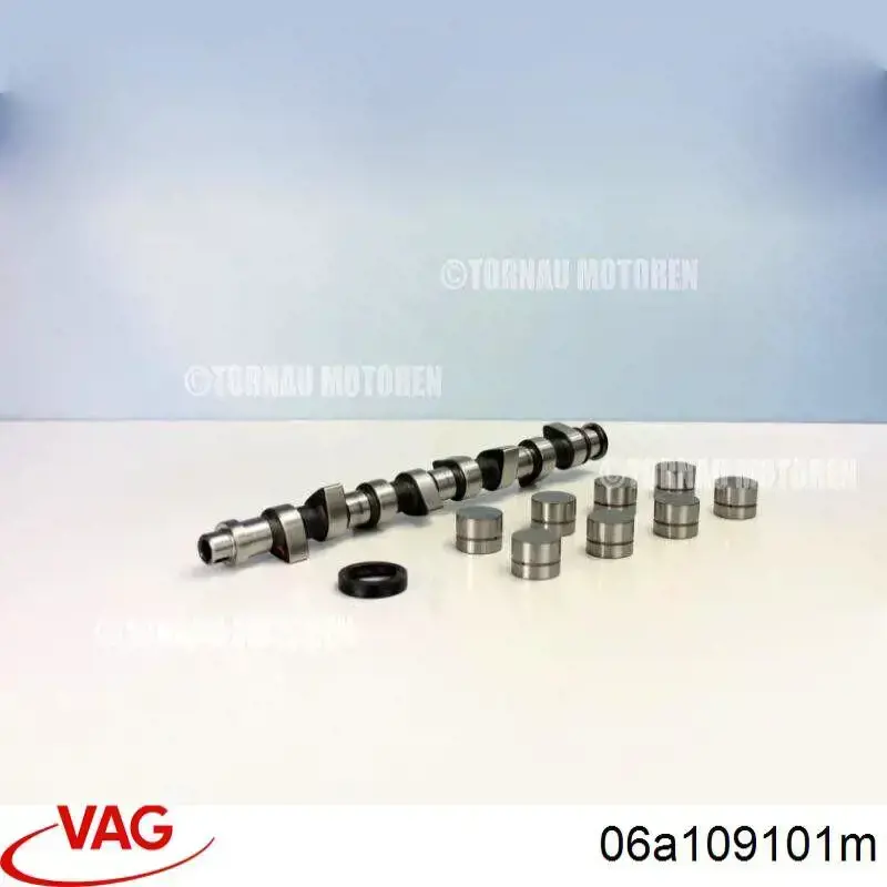 06A109101M VAG Kit árbol de levas