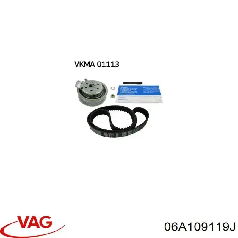 Correa distribución 06A109119J VAG