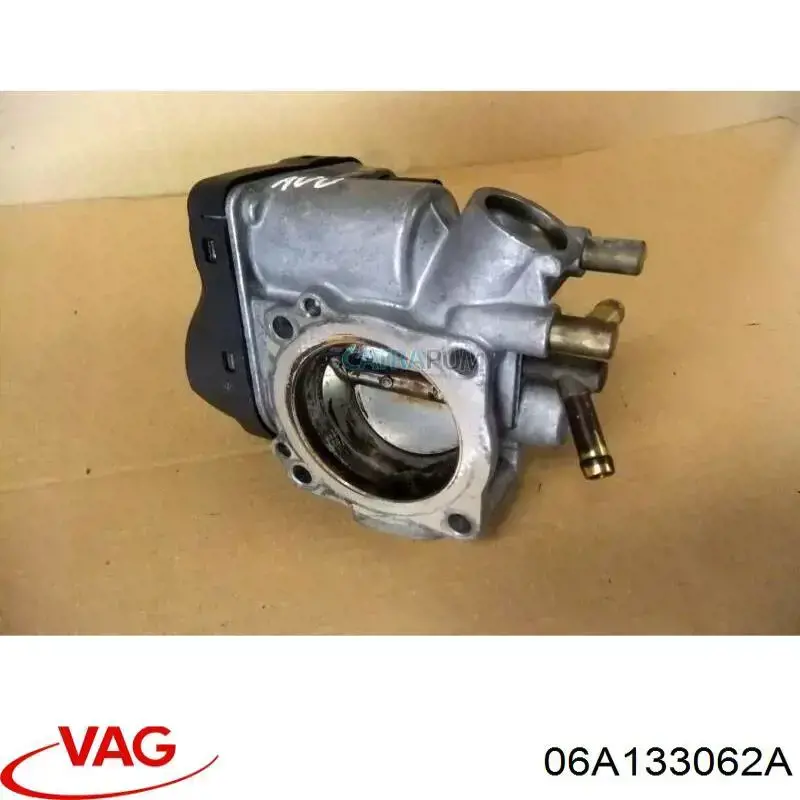 06A133062A VAG Mariposa de admisión