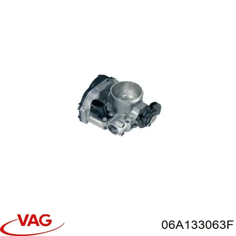 Cuerpo de aceleración completo VAG 06A133063F precio, desde 133,58 EUR