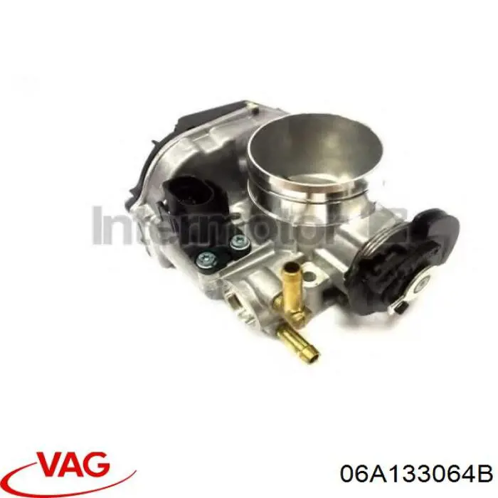Cuerpo de aceleración completo VAG 06A133064B precio, desde 123,48 EUR