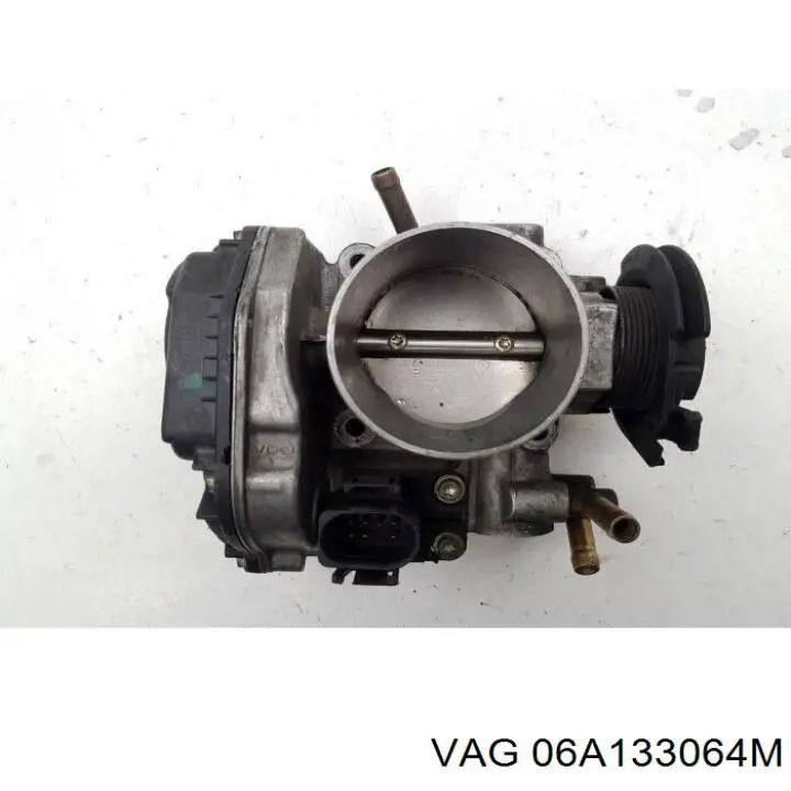 Cuerpo de aceleración completo VAG 06A133064M precio, desde 69,70 EUR