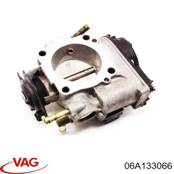 Cuerpo de aceleración completo VAG 06A133066 precio, desde 437,41 EUR