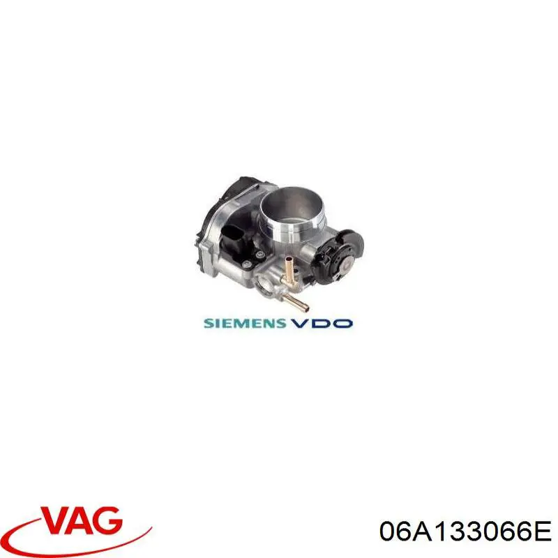 6A133066E VAG Mariposa de admisión