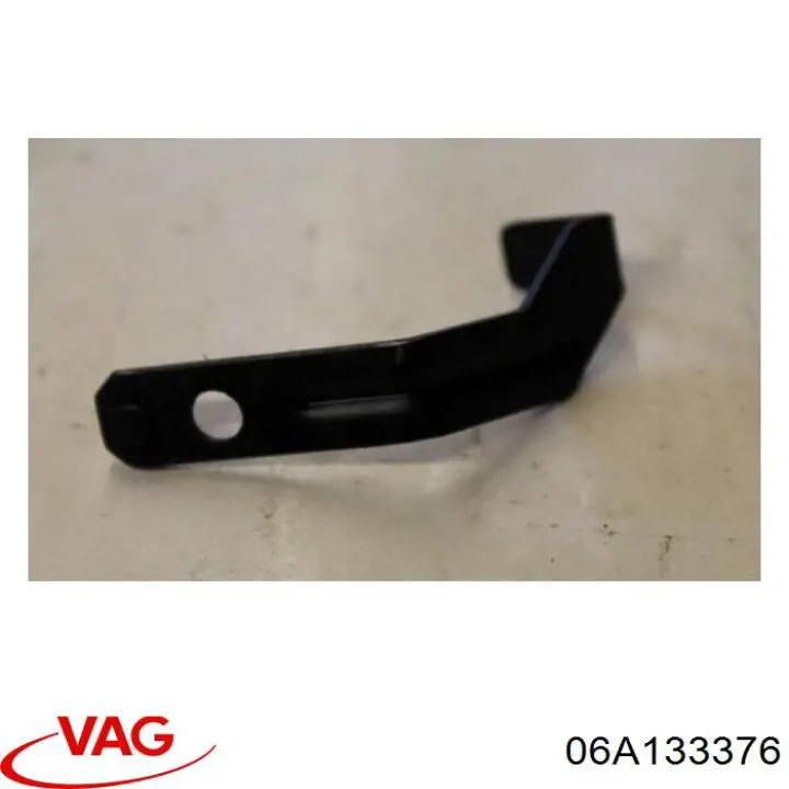 06A133376 VAG 